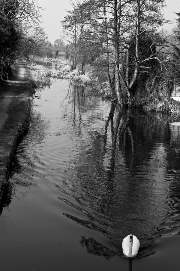 Llanymynech The Cross Keys Hotel المظهر الخارجي الصورة